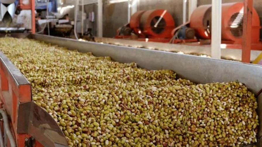 What is pistachio processing?